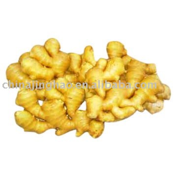 Fresh Yellow Raw Ginger