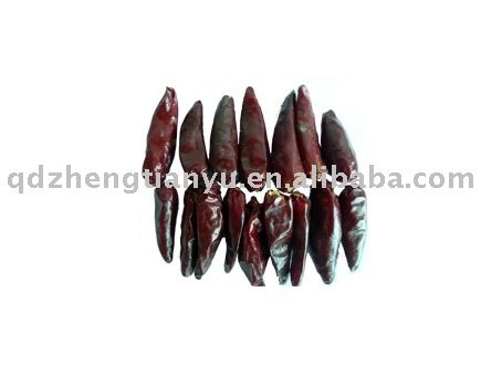 bullet chilli