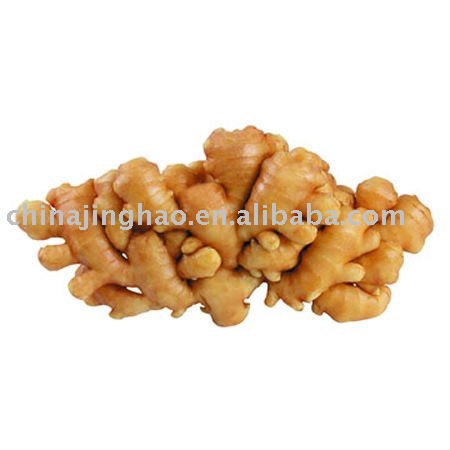 Super Quality with Low Price Chinese Fresh Young Ginger (Natural Yellow Skin)