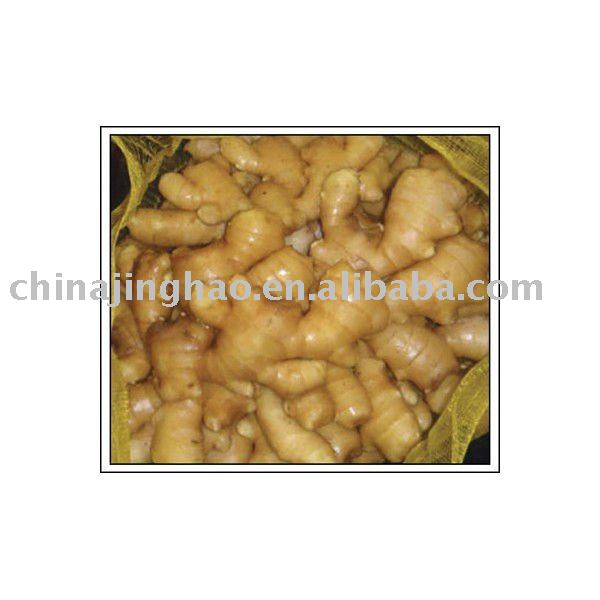Low Price Products - Chinese Fresh Young Ginger (Natural Yellow Skin)