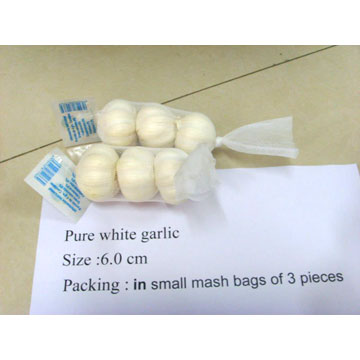 2010 new crop pure white garlic