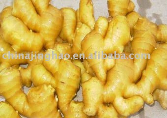 Fresh Raw Yellow Ginger