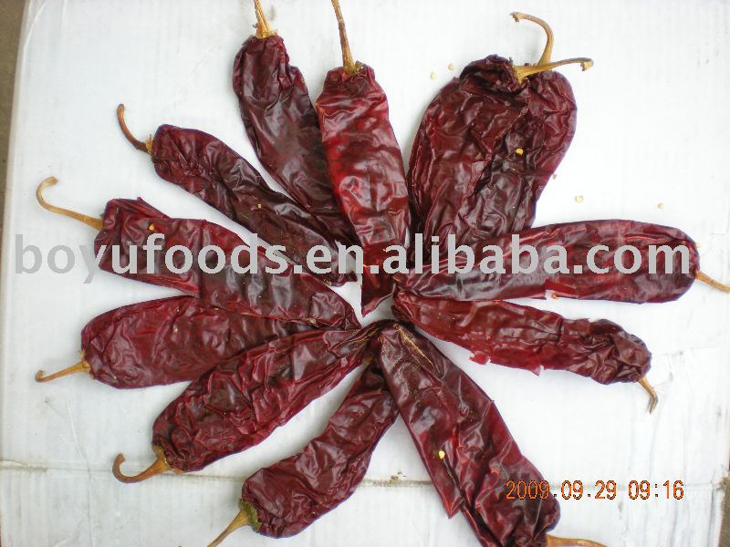  sweet   dried   paprika 