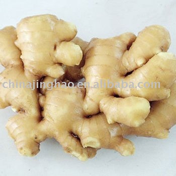 Shouguang Fresh Raw Yellow Ginger