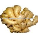 150-250g Top Grade Fresh Yellow Ginger