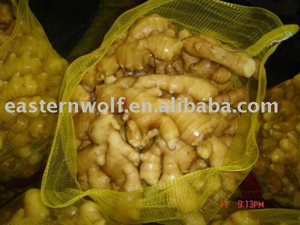High Quality Fresh Chinese Ginger in Plastic Box Package