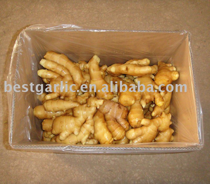 Fresh Ginger 250g up with 10kg Carton