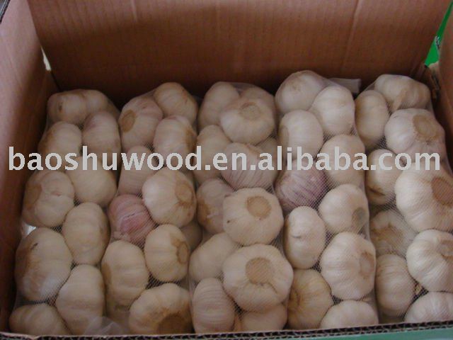 2011 new normal white garlic