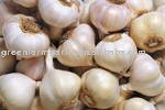 2011 Fresh Normal Garlic 5.0cm,5.5cm in 10KG Mesh Bags