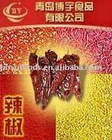 professional manufacture export chili pepper chilli paprika