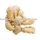 Low Price Dried ginger