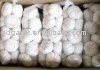 2011 new yield fresh normal white  garlic