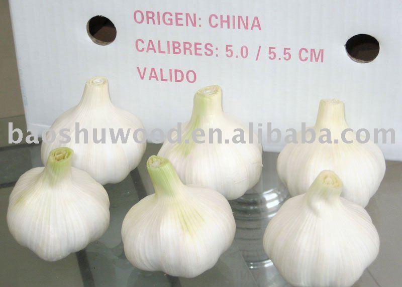 2011 new natural garlic