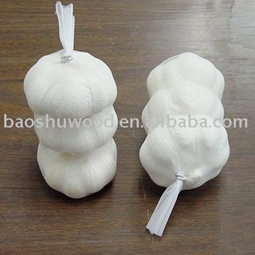 fresh new natural garlic