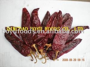 professional manufacture export paprika