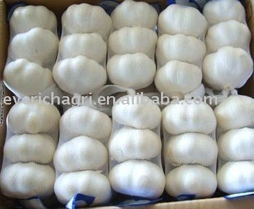 White  Garlics from China in Small Mesh Bag