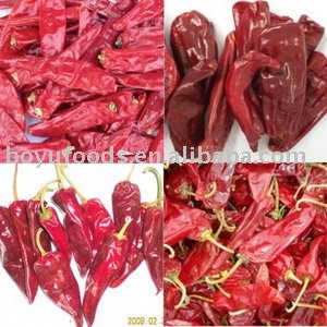 professional manufacture export chili pepper chili paprika
