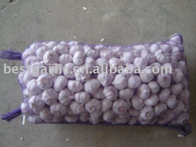 Red garlic 20kg/mesh bag