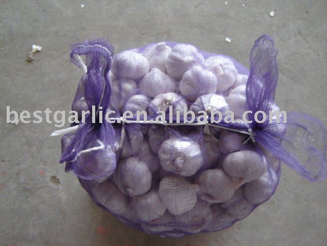 Pure white garlic bulk in mesh bag