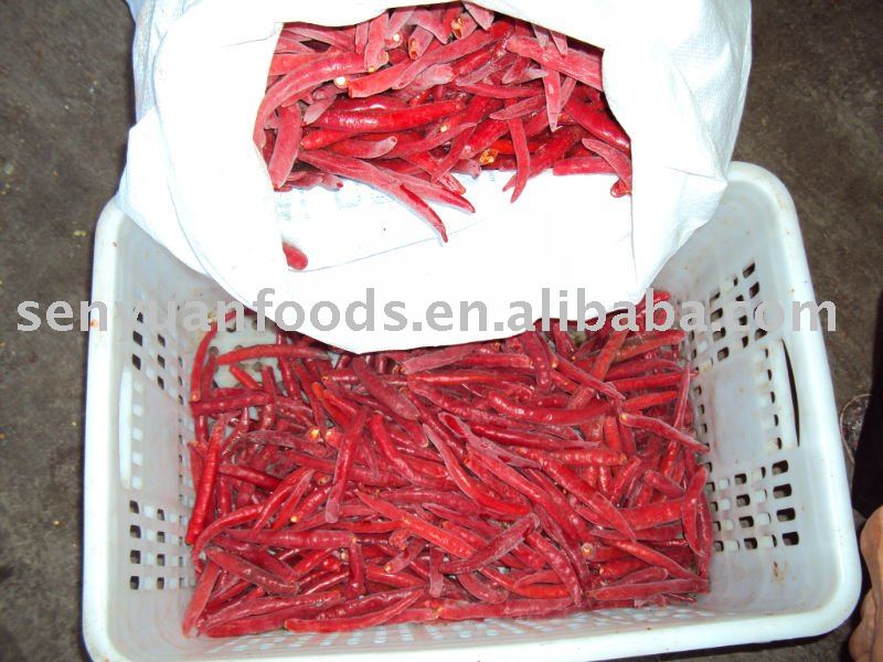 2010 hot-sale changxiang frozen red chili