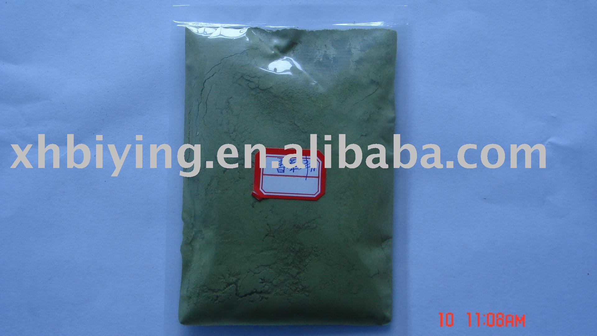 dehydrated coriander powder