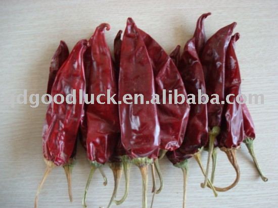 American red chilli