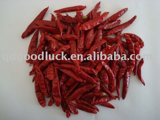 the newest crop red hot chili, Chaotian chilli, bullet chilli.