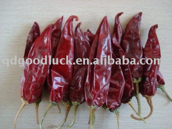 Hand picked high American red chilli.