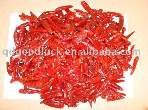 the newest crop Chaotian chilli, bullet chilli.