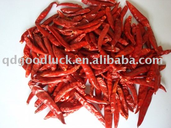 chaotian chilli