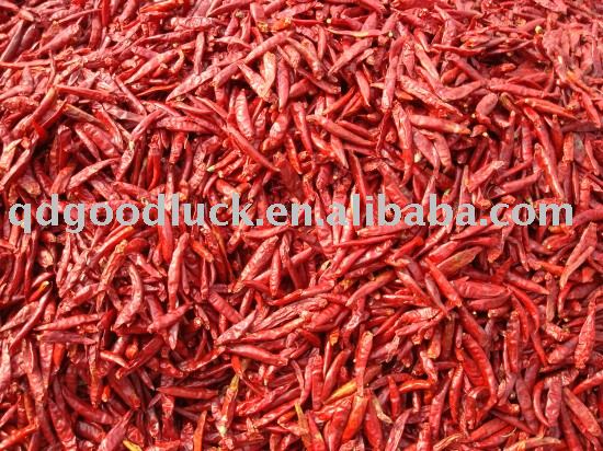 Saleable red hot chili,  Chaotian   chilli , bullet  chilli .