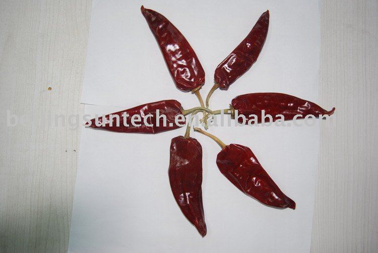  Yidu   chili   whole 