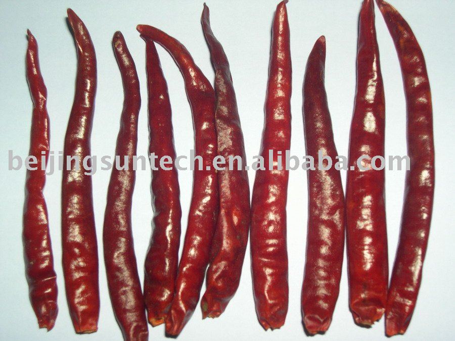 Yunnan chili stemless