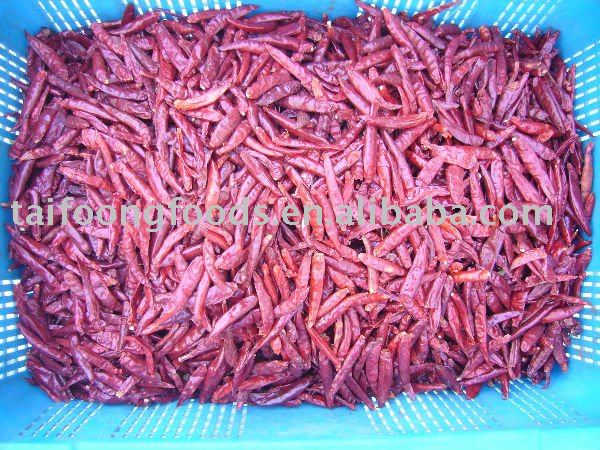 3-7CM SMALL HOT CHILI CHAOTIAN CHILI NO STEM TIANYING CHILI