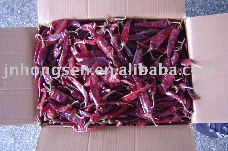 China  red   yidu  chilli