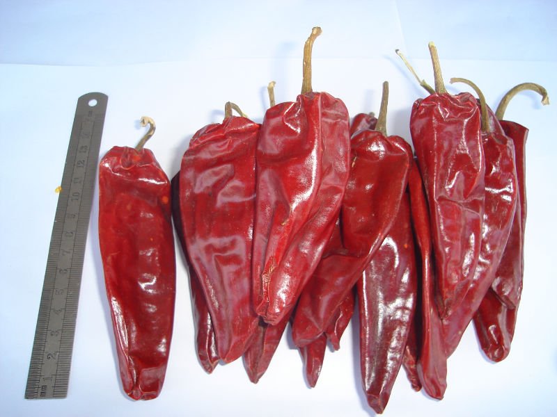 yidu red chili
