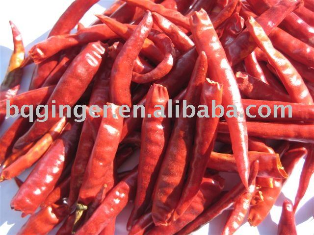  dried   yunnan  chilli
