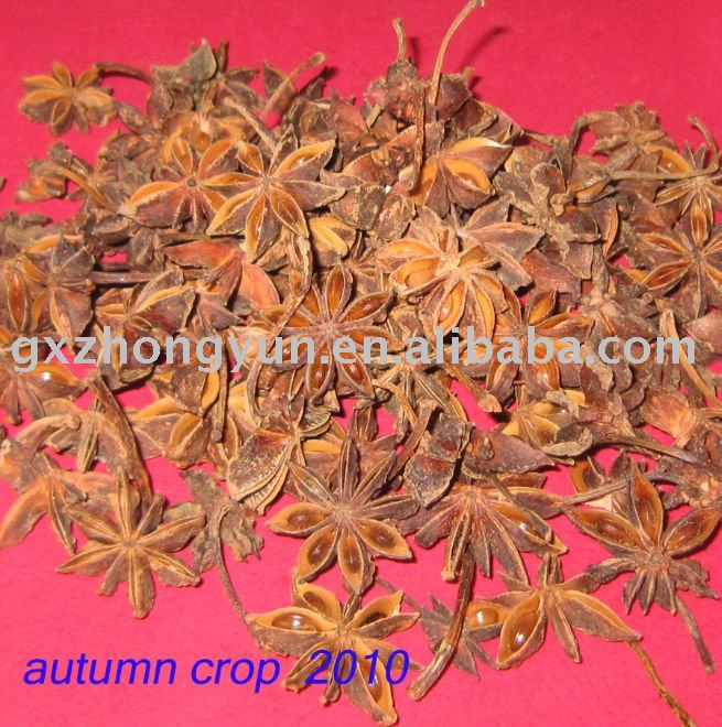 star anise,aniseed,star anissed,spice