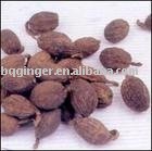 chineses brownish red Amomum tsao-ko