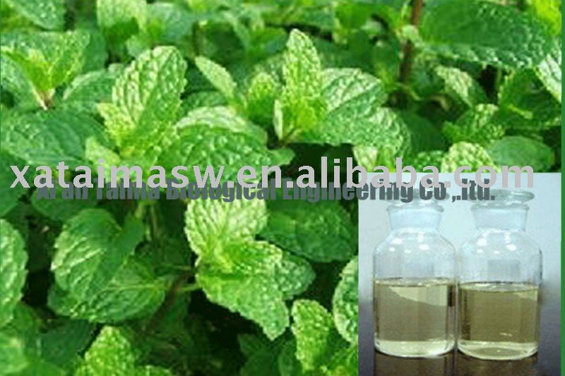 mint-oil