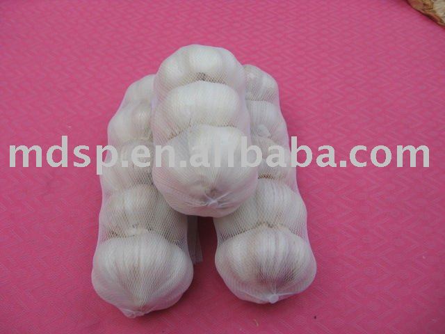 Yongnian fresh chinese garlic