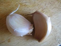 Satikuwar Exports Quality garlic Clove