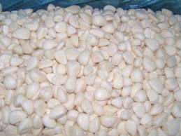 Maharashtra Quality Garlic Clove