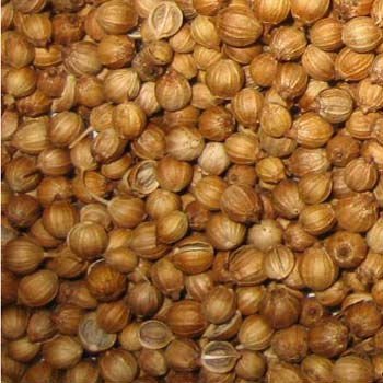 Satikuwar Exporters Quality Coriander Seed