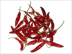 273 Quality Red Chilli
