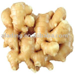 Ginger extract