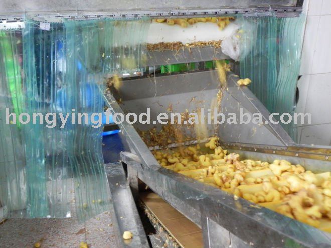 new crop dried ginger slices from Chinese manufacturer