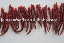  Dried   Yunnan  Chilli Pods