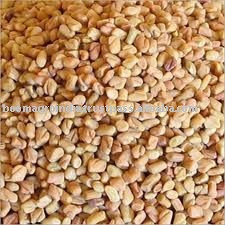 FENUGREEK SEED (MACHINE CLEAN SMALL GRAIN, B GRADE)