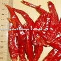 RED CHILLI WITHOUT STEM (334 MEDIUM BEST QUALITY)